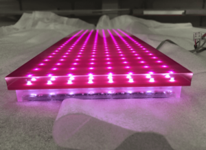 Die LED Leuchten werden ins Plexiglas integriert