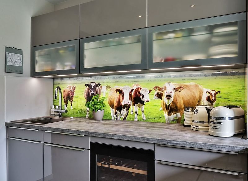 SmartGlas Flächenlicht Küche Kühe
